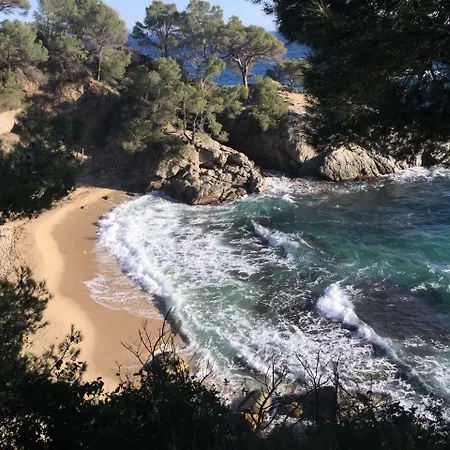 Daro * Castell-Platja d'Aro