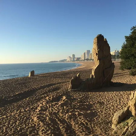 Daro * Castell-Platja d'Aro