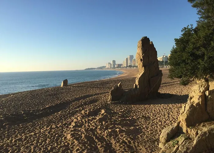 Daro * Castell-Platja d'Aro